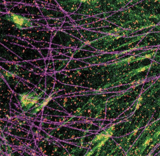 N-SIM Система высокого разрешения серии Super-Resolution